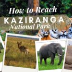 How to Reach Kaziranga National Park – Complete Travel Guide